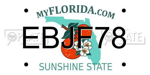 EBJF78 Florida License Plate