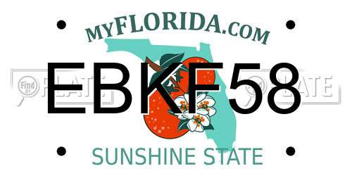 EBKF58 Florida License Plate