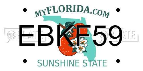 EBKF59 Florida License Plate