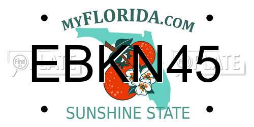 EBKN45 Florida License Plate