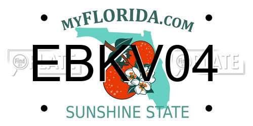 EBKV04 Florida License Plate