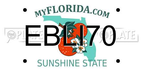 EBLI70 Florida License Plate
