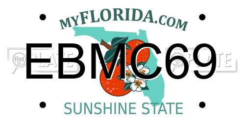EBMC69 Florida License Plate