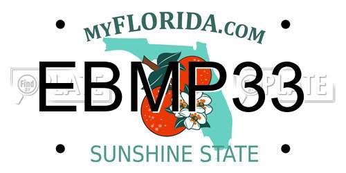 EBMP33 Florida License Plate