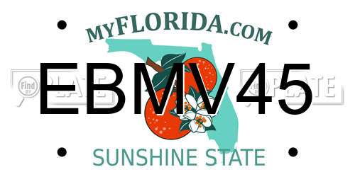 EBMV45 Florida License Plate