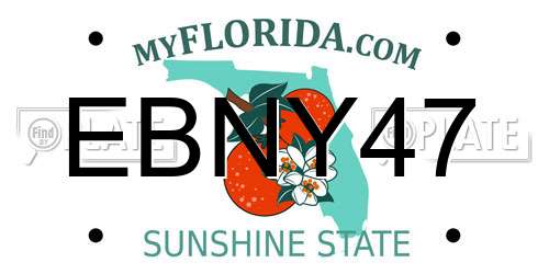 EBNY47 Florida License Plate