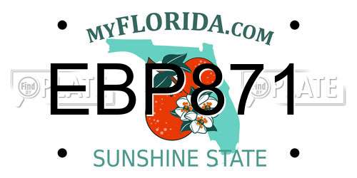EBP871 Florida License Plate