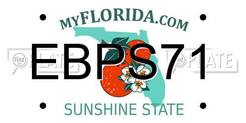 EBPS71 Florida License Plate