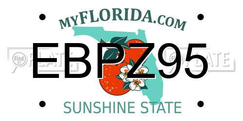 EBPZ95 Florida License Plate