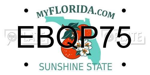 EBQP75 Florida License Plate