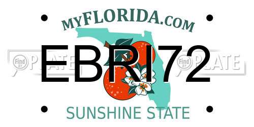 EBRI72 Florida License Plate