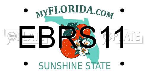 EBRS11 Florida License Plate