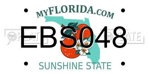 EBS048 Florida License Plate