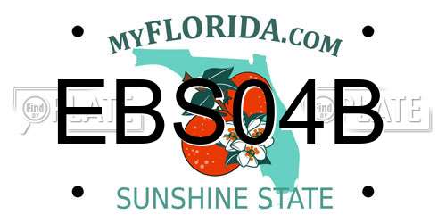 EBS04B Florida License Plate