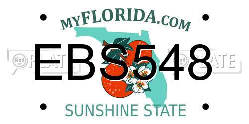 EBS548 Florida License Plate