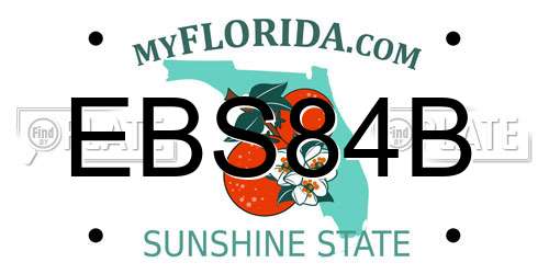 EBS84B Florida License Plate