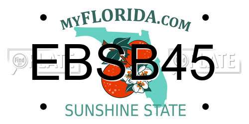 EBSB45 Florida License Plate