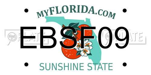 EBSF09 Florida License Plate