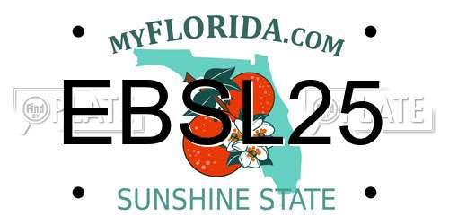 EBSL25 Florida License Plate
