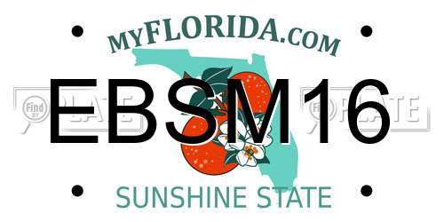 EBSM16 Florida License Plate