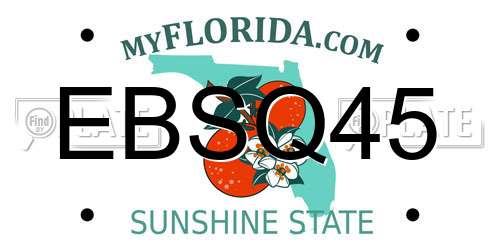 EBSQ45 Florida License Plate