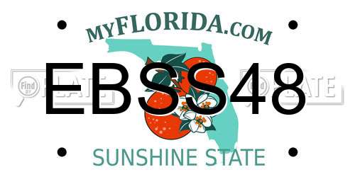 EBSS48 Florida License Plate