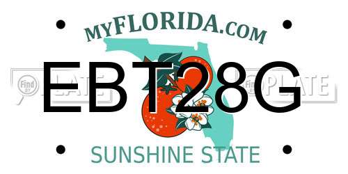EBT28G Florida License Plate