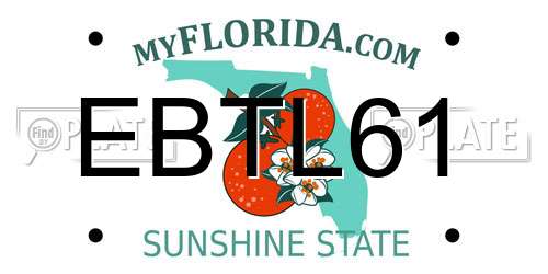 EBTL61 Florida License Plate