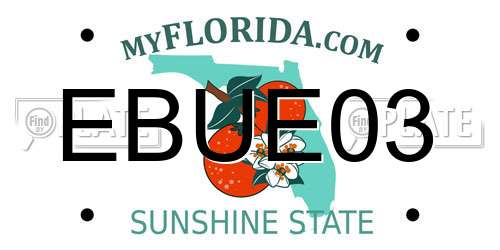 EBUE03 Florida License Plate