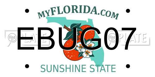 EBUG07 Florida License Plate