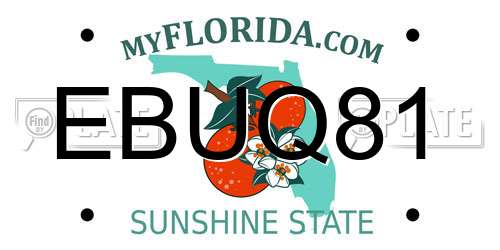 EBUQ81 Florida License Plate