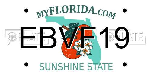 EBVF19 Florida License Plate