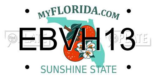 EBVH13 Florida License Plate