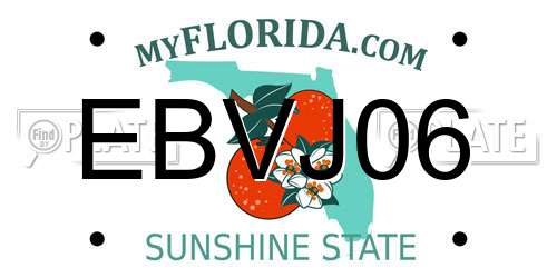 EBVJ06 Florida License Plate