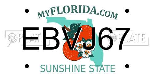 EBVJ67 Florida License Plate