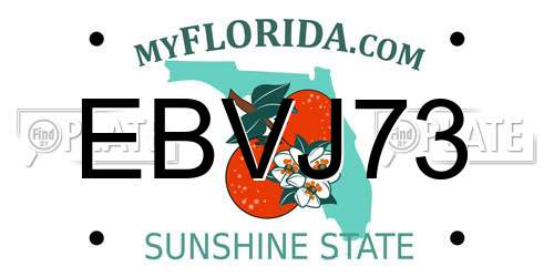 EBVJ73 Florida License Plate