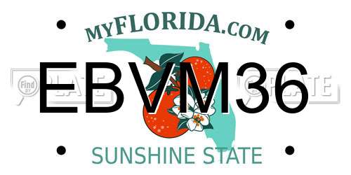EBVM36 Florida License Plate