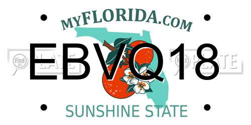 EBVQ18 Florida License Plate