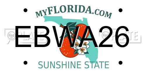 EBWA26 Florida License Plate