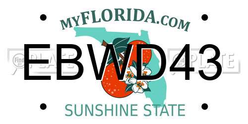 EBWD43 Florida License Plate