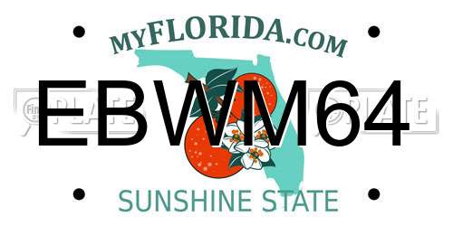 EBWM64 Florida License Plate