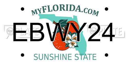 EBWY24 Florida License Plate