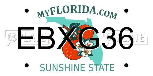 EBXG36 Florida License Plate