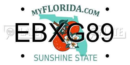 EBXG89 Florida License Plate
