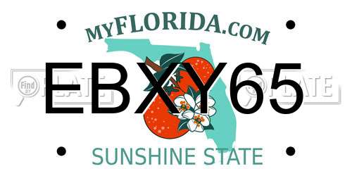EBXY65 Florida License Plate
