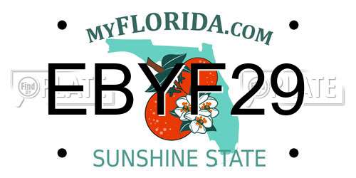 EBYF29 Florida License Plate