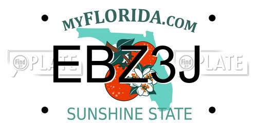 EBZ3J Florida License Plate