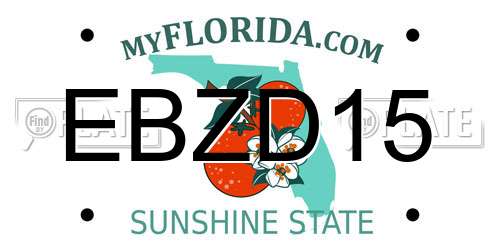 EBZD15 Florida License Plate