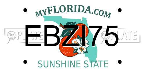 EBZI75 Florida License Plate