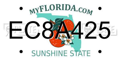 EC8A425 Florida License Plate